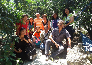Representatives from the Philippine Calamansi Association, Inc. (PCAI), Nueva Vizcaya State University (NVSU) and Crops Research Division (CRD) of DOST-PCAARRD during a field visit at Satsuma Farm owned by Jessie P. Lammag, Citrus grower-cooperator at Barangay Cabuluan, Villaverde, Nueva Vizcaya. (Image credit: Crops Research Division (CRD), PCAARRD)