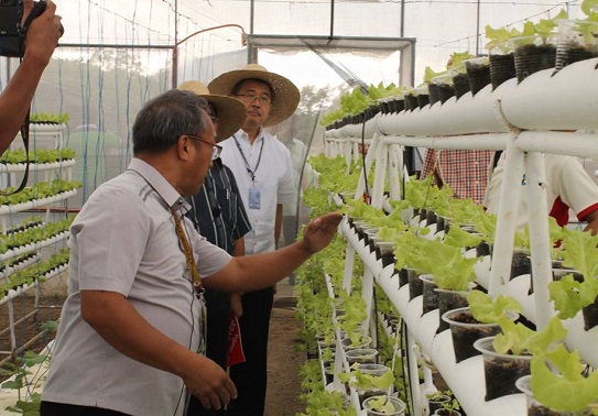 news dost bats for hydroponics technology 09042017