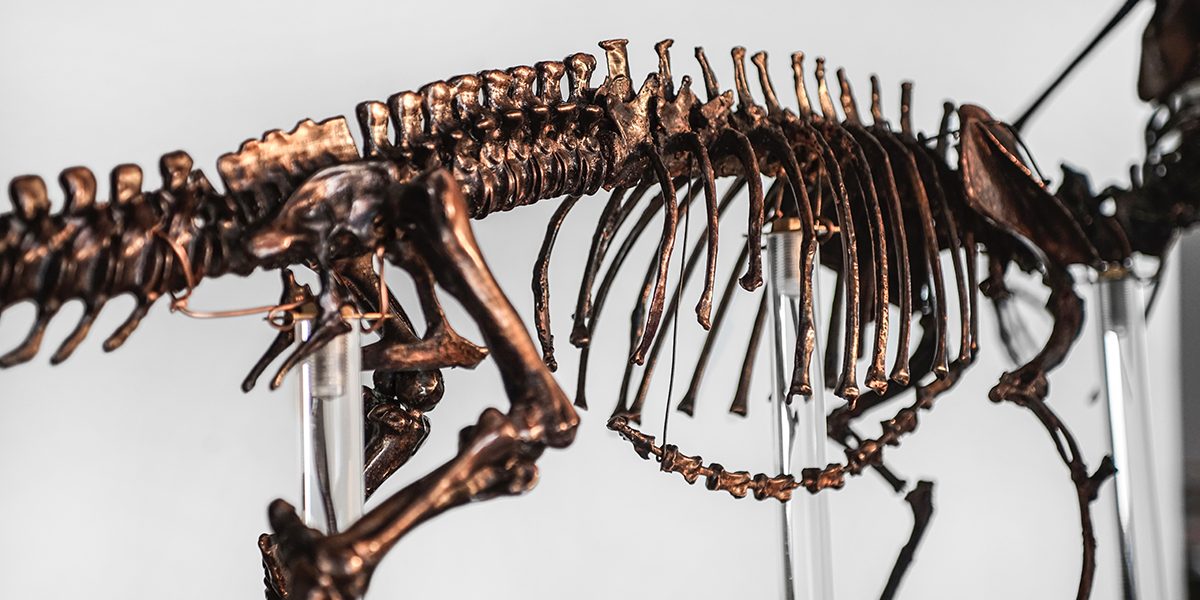 Bronze dinosaur skeleton